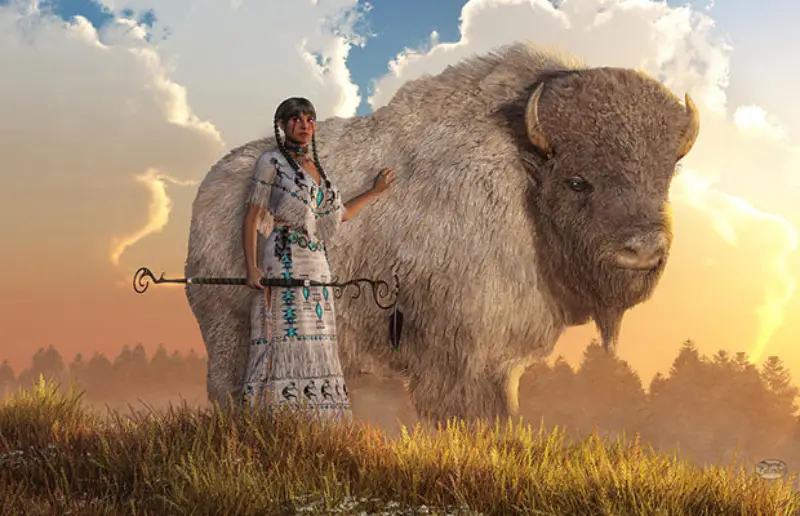 Symbolic Evolution of Buffalo in Dreams